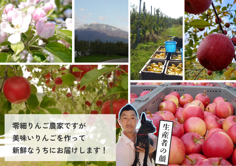 零細りんご農家ですが、美味しいリゴを作って新鮮なうちにお届けします!